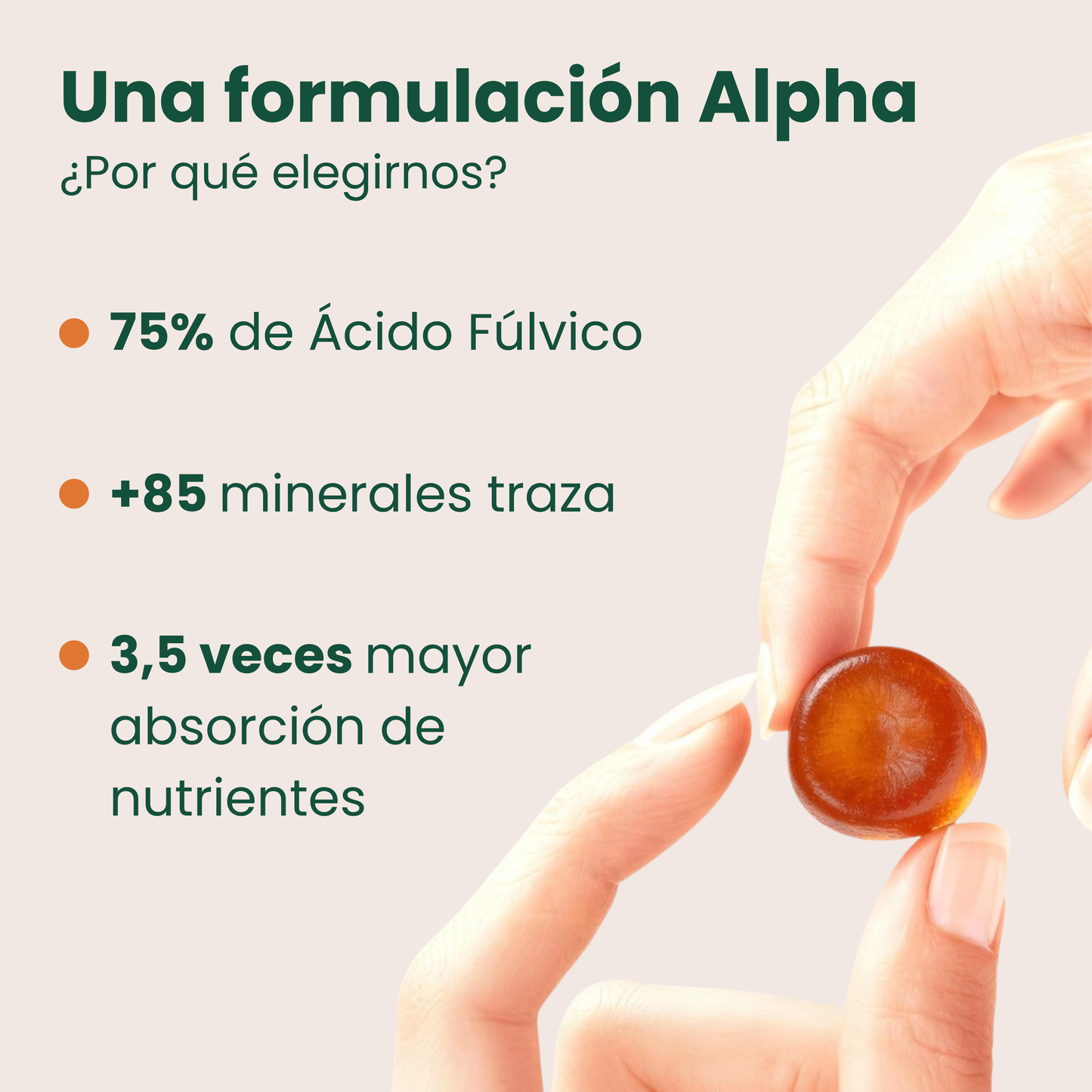 Gomitas ALPHA – Potencia Masculina y Energía Extrema